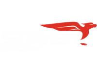 Marka stworzona dla osób ćwiczących w warunkach domowych Stayer Sport