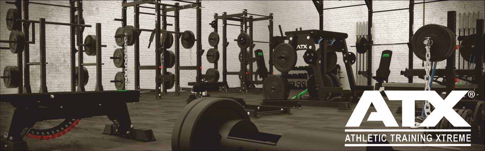 Profesjonalny sprzęt sportowy do crossfit ATX